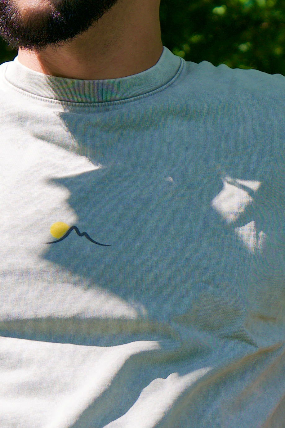 Snow Washed Tee (Gray)