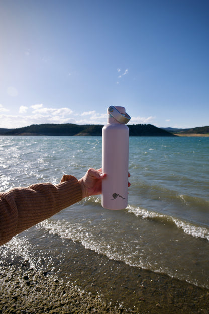 Mission Bottle