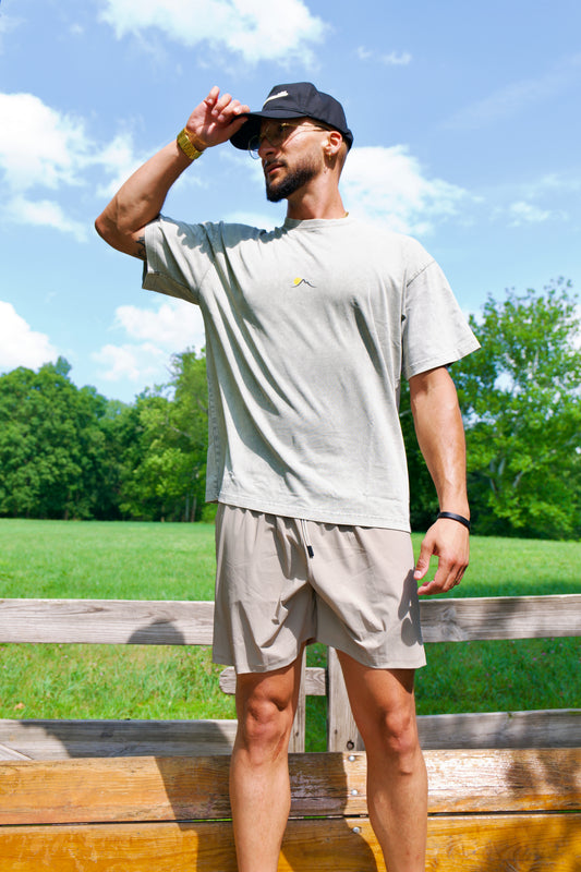 Snow Washed Tee (Gray)