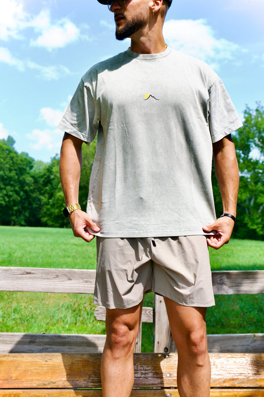 Snow Washed Tee (Gray)
