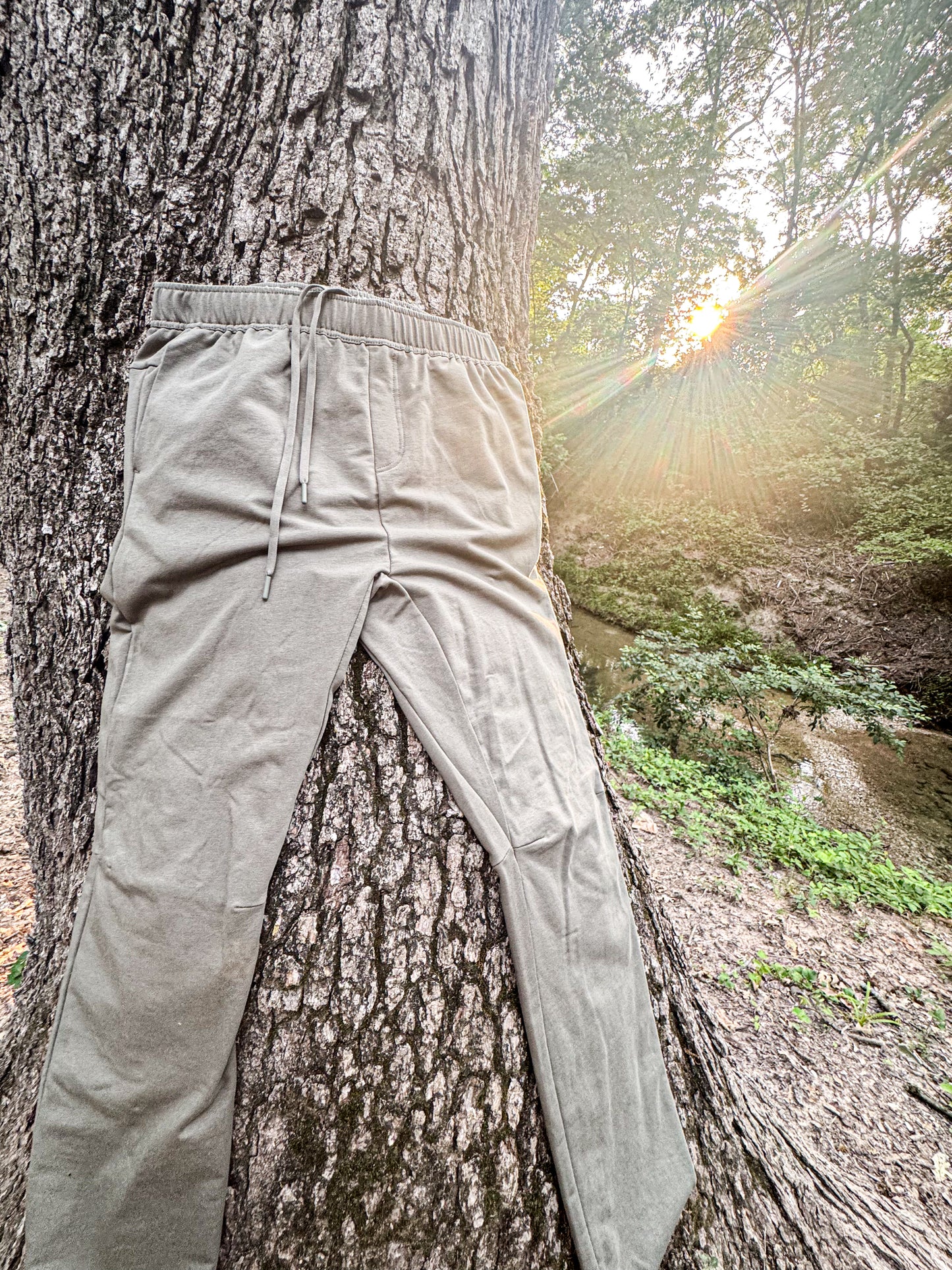 Evergreen Performance Pants