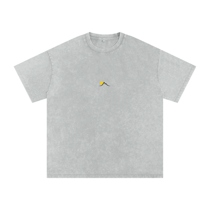 Snow Washed Tee (Gray)