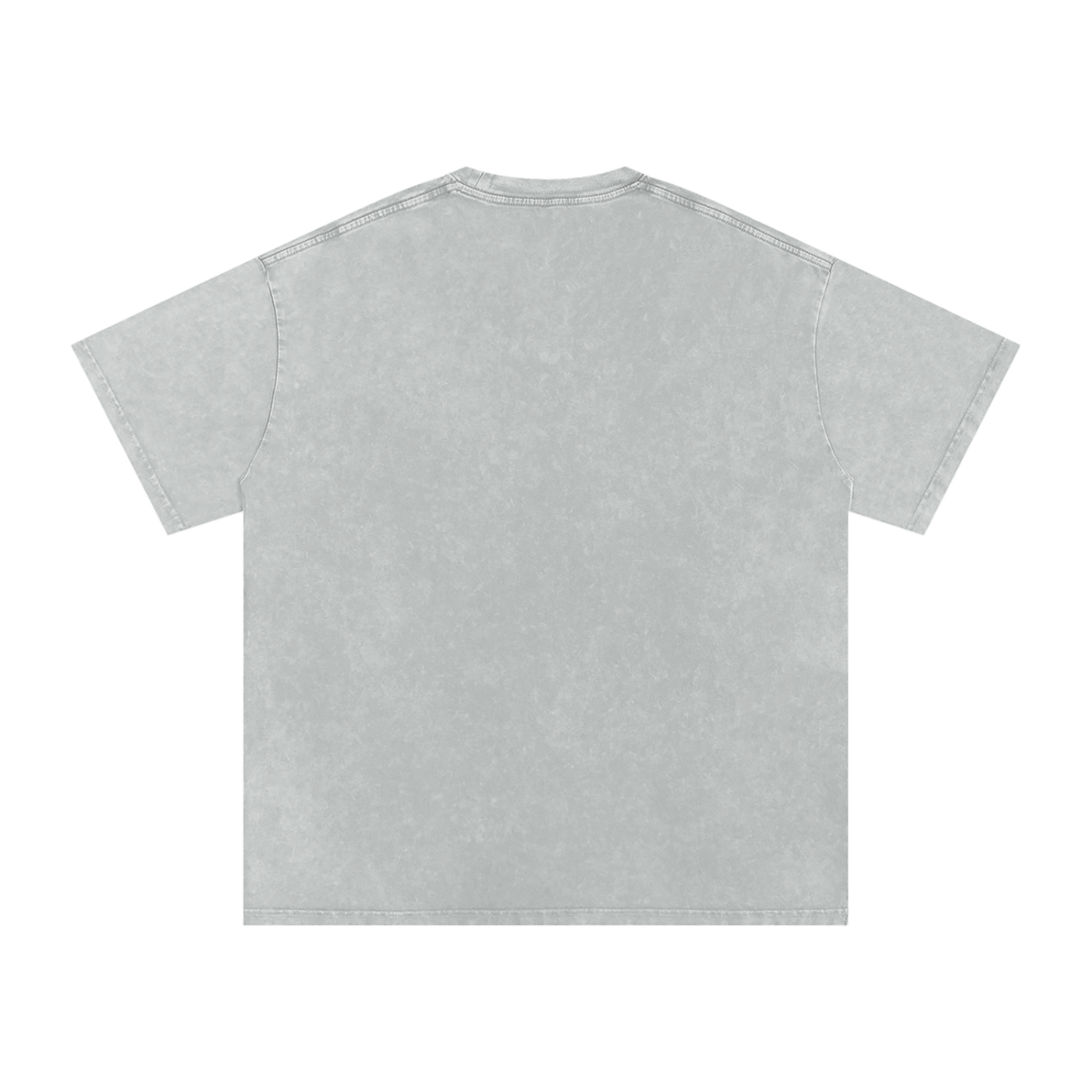 Snow Washed Tee (Gray)